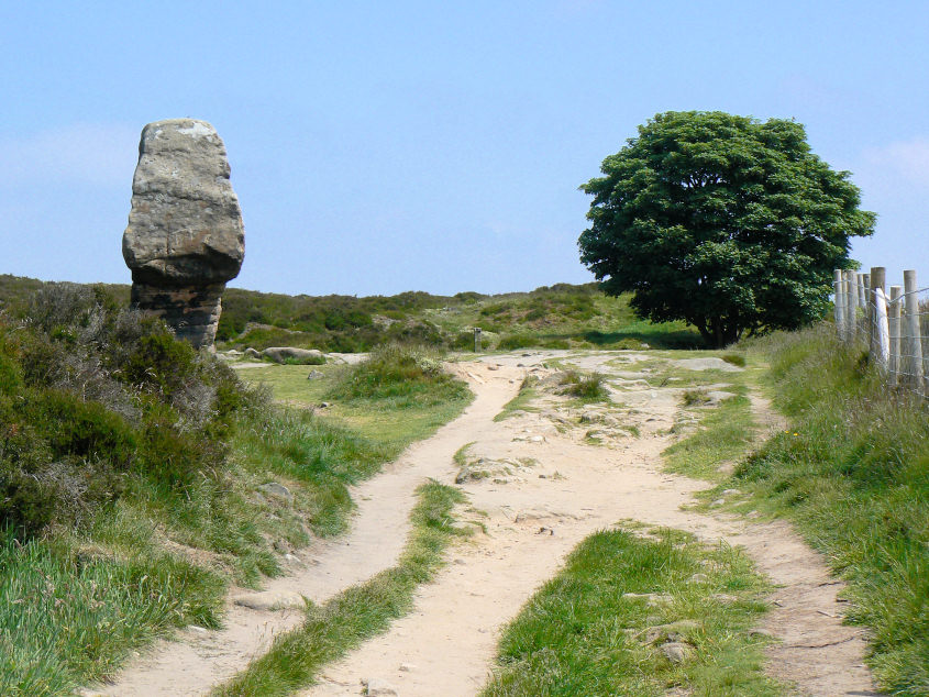 Cork Stone Cork Stone